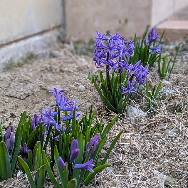 yukkin29さんの部屋