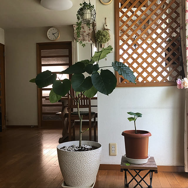 maron915さんの実例写真