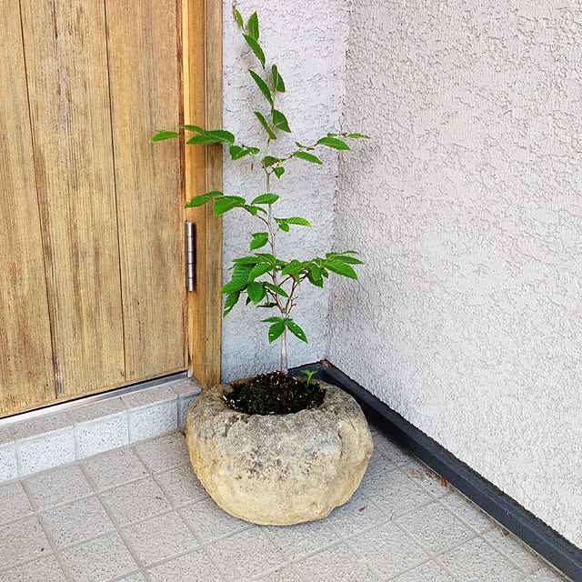 picopico1205さんの実例写真