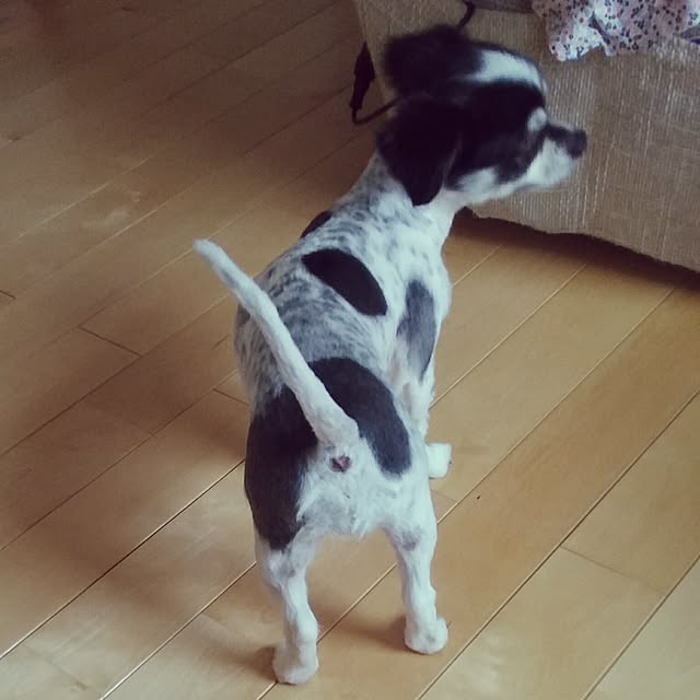 yukkoさんの実例写真