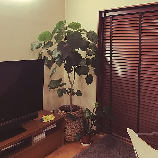 noraさんの実例写真