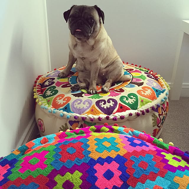 bluepug77さんの実例写真
