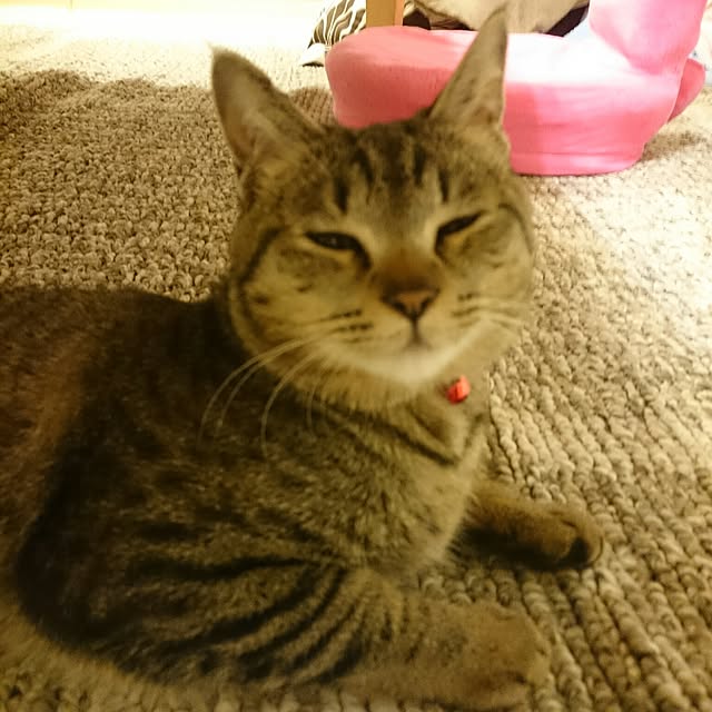 mono_plantさんの実例写真