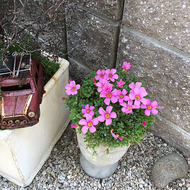 sanw2225719さんの実例写真