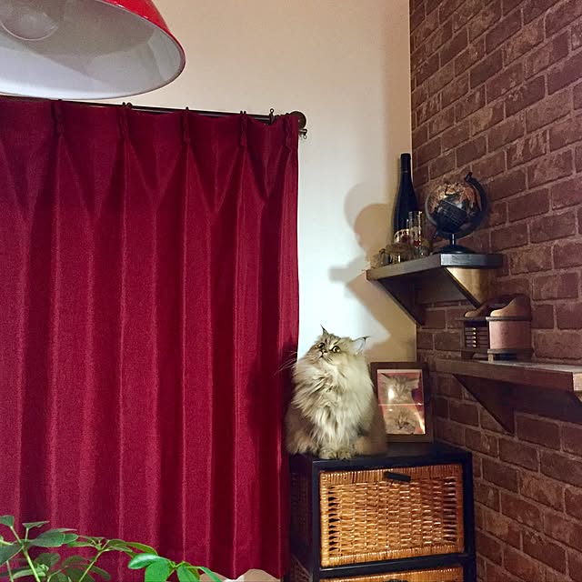 butachanさんの実例写真