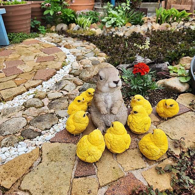 Mariさんの部屋