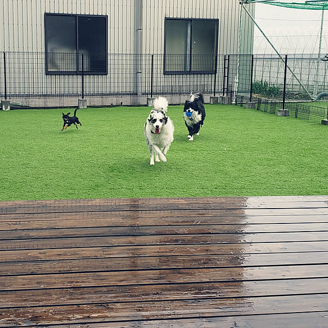 koteriinaさんの実例写真