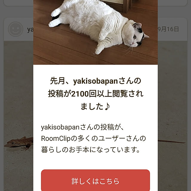 実例写真