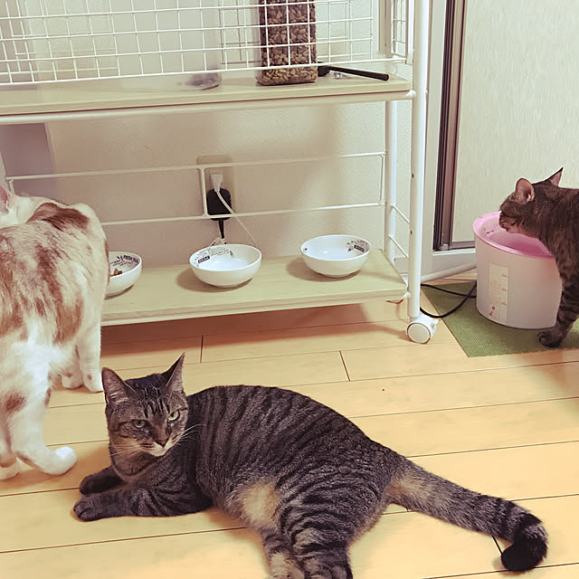 manyaさんの実例写真