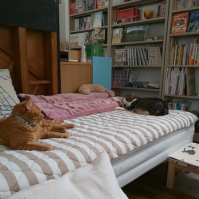 37さんの実例写真