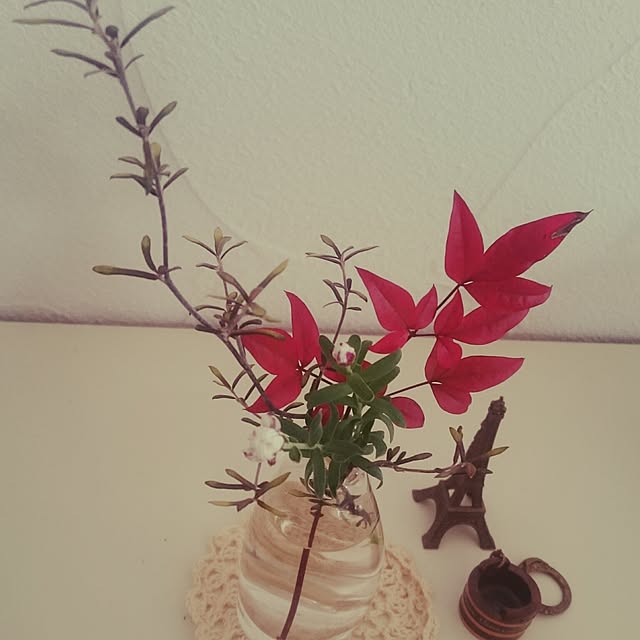 whitebirdさんの実例写真