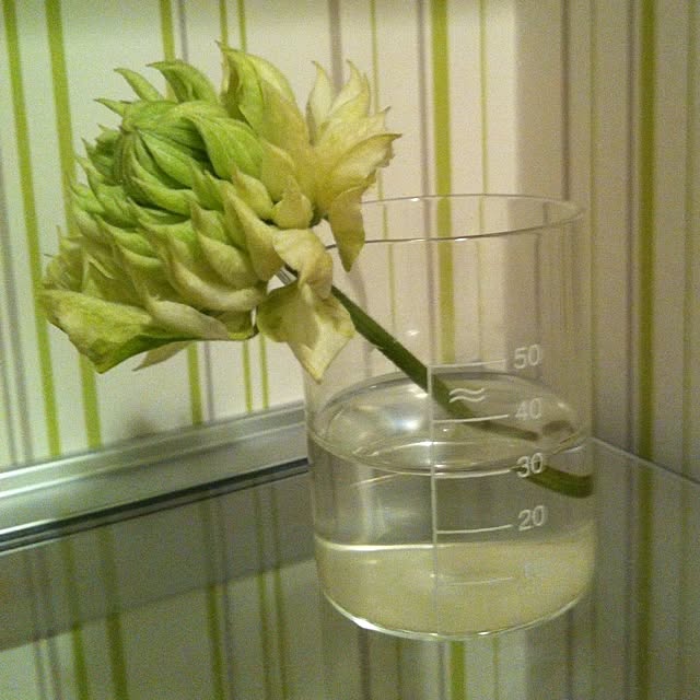 Mrsrerereさんの実例写真