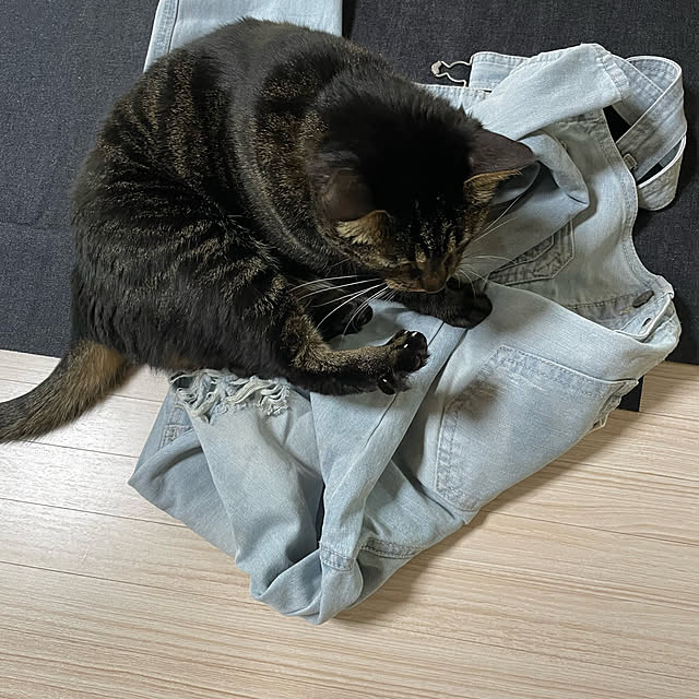 momocchiさんの部屋