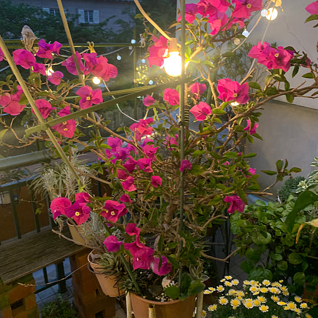 Aqettyさんの部屋