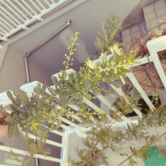 okameさんの部屋