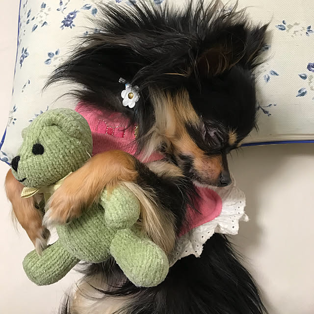 実例写真