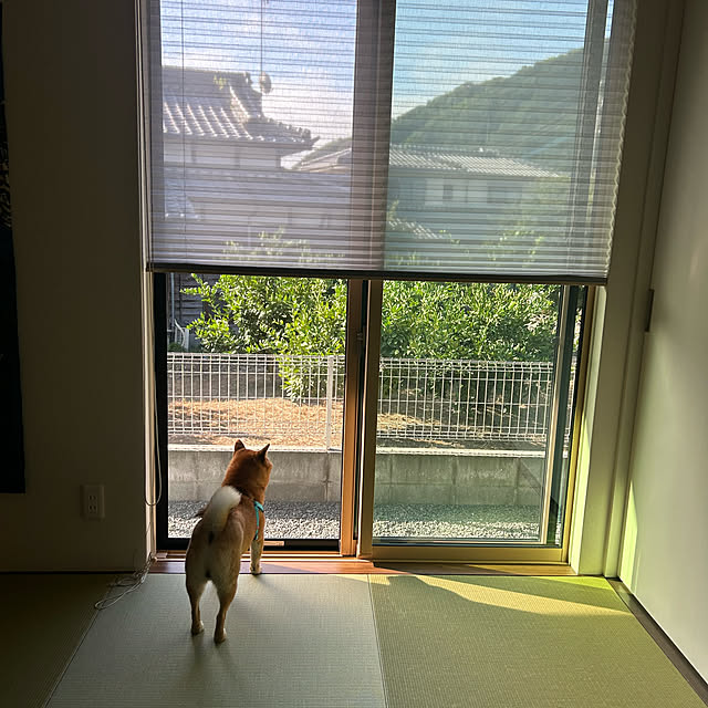 banbinaさんの部屋