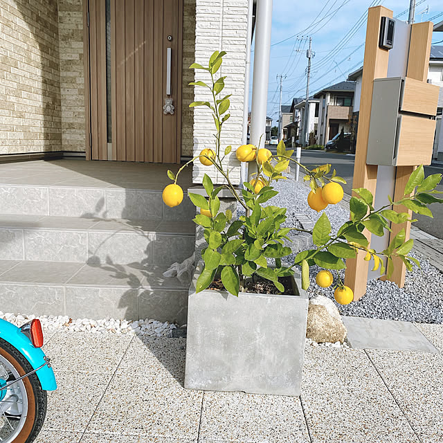 smileさんの実例写真