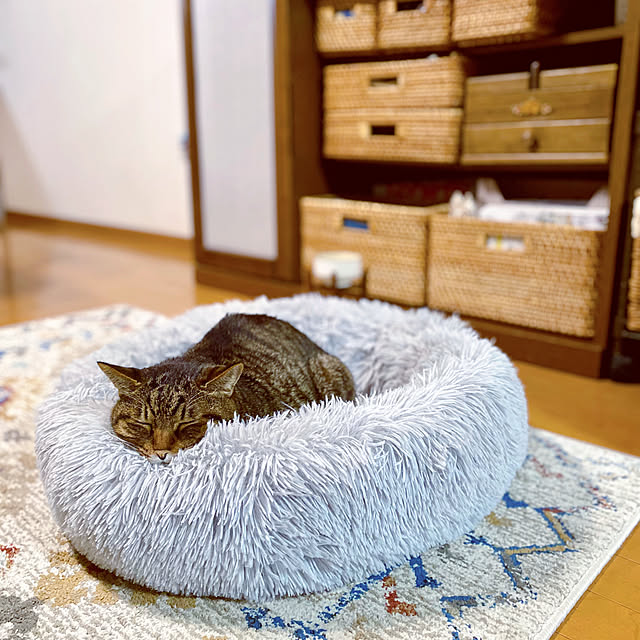 cocomaroさんの部屋