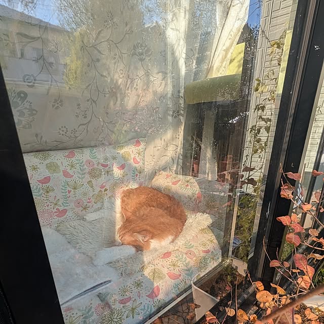 mori_6_12さんの部屋