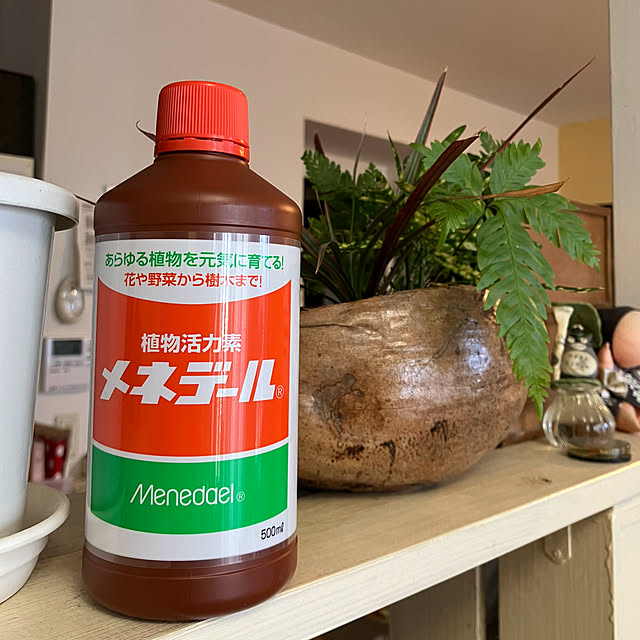koshiregutyoさんの部屋