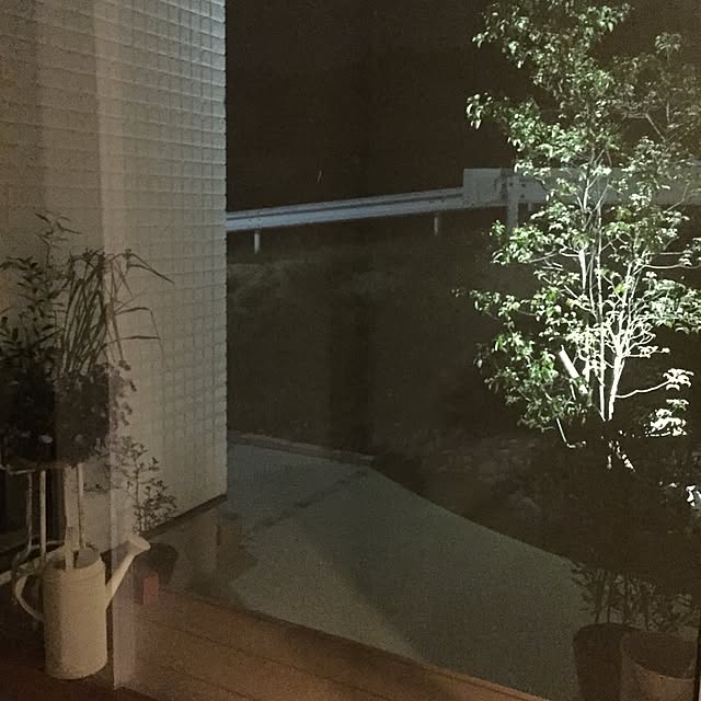 sayapiさんの実例写真