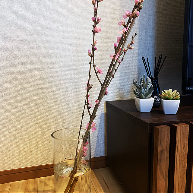 staaary.2924さんの実例写真