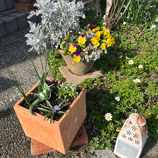 ritsukoさんの実例写真