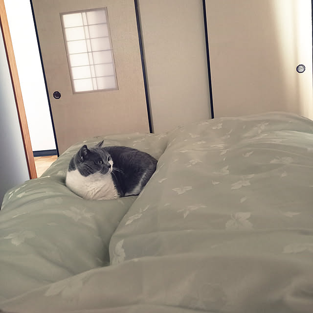 rhuさんの実例写真