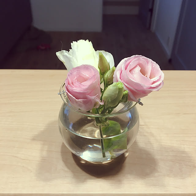 kuu511さんの実例写真