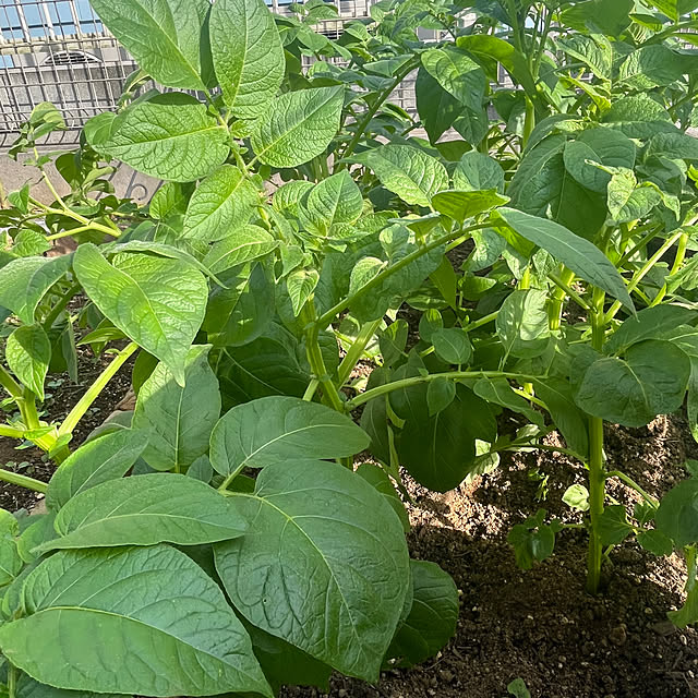 Chiakiさんの部屋