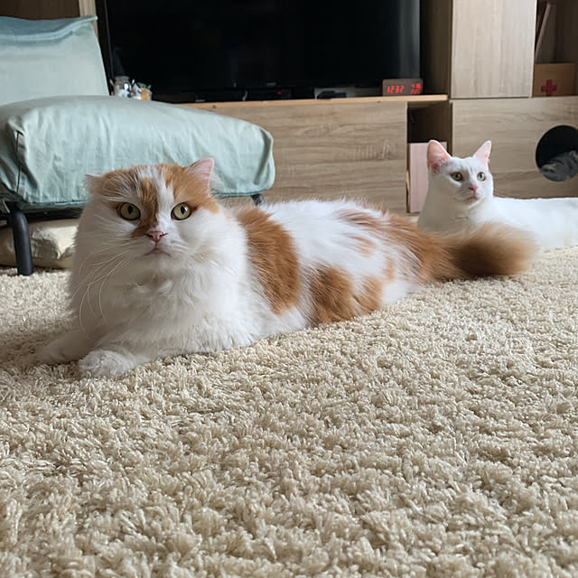 keiさんの部屋