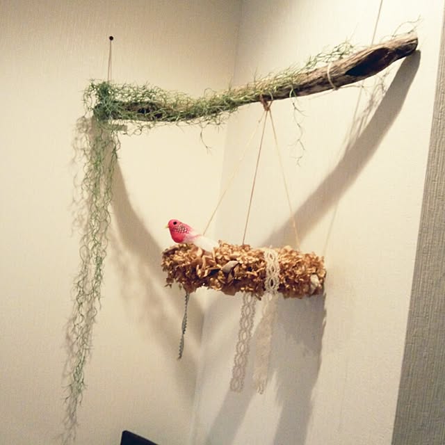 cache-cacheさんの実例写真