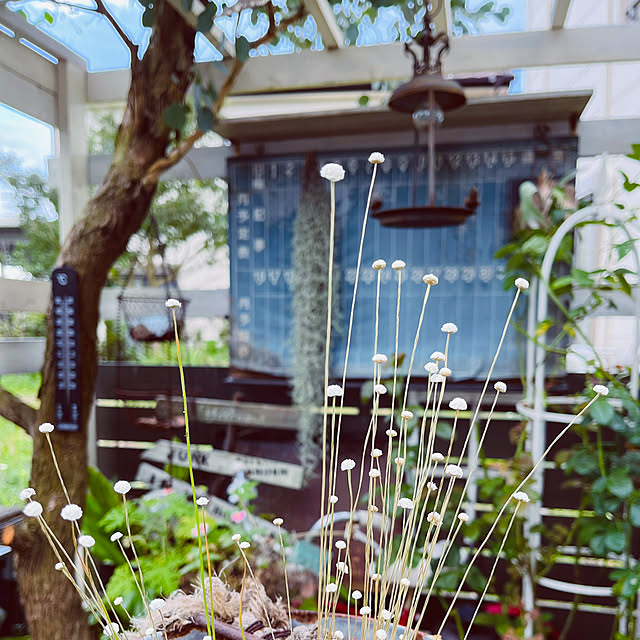 mayumiさんの部屋