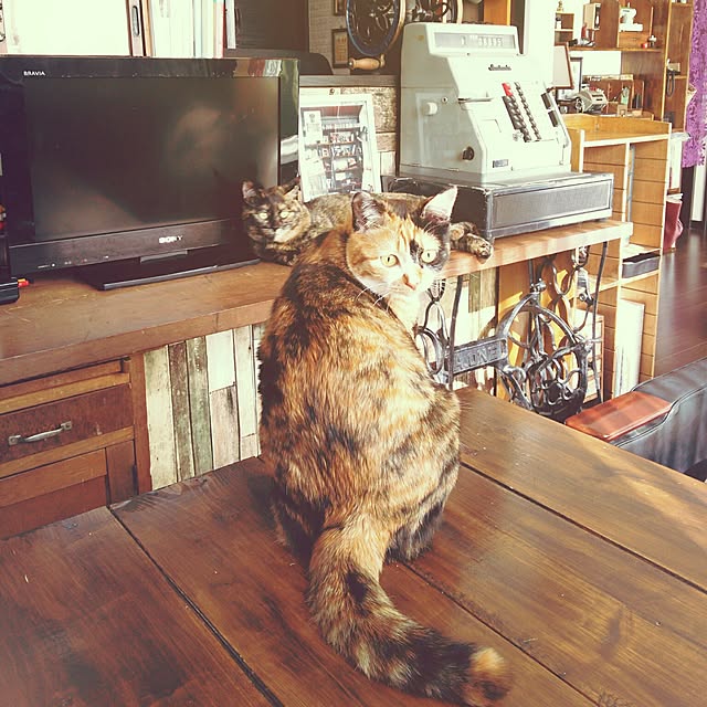 chamakonanさんの実例写真