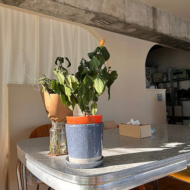 miri_bukkoさんの部屋