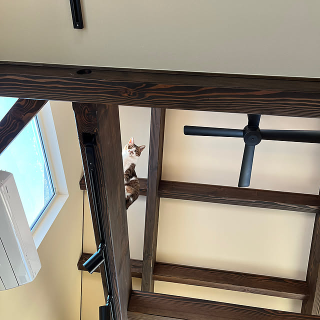 aobahahaさんの部屋