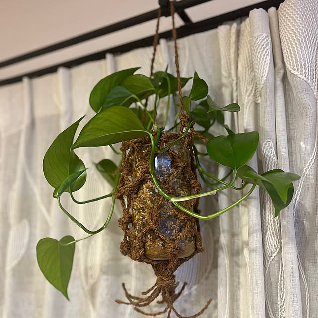 kazorenaさんの部屋