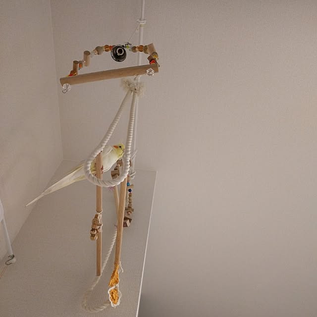 toratanさんの実例写真