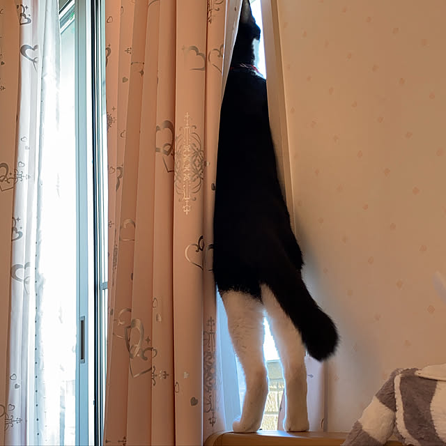 moolさんの実例写真