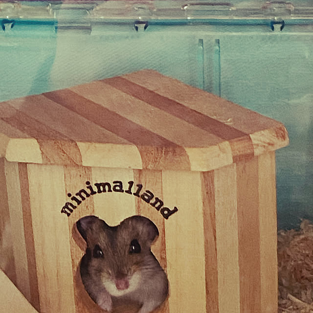 maronchanさんの実例写真