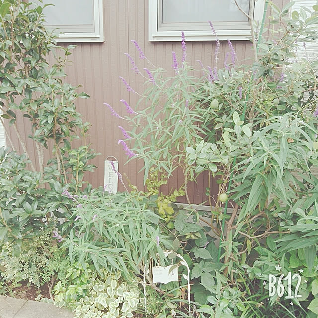 K-mamaさんの実例写真