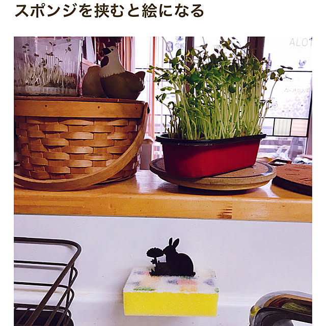 portulacaさんの実例写真