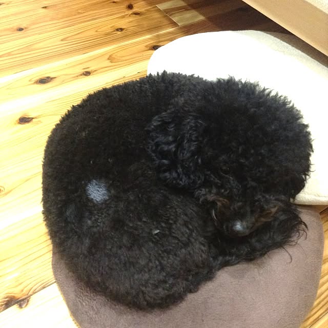 Kenroさんの実例写真