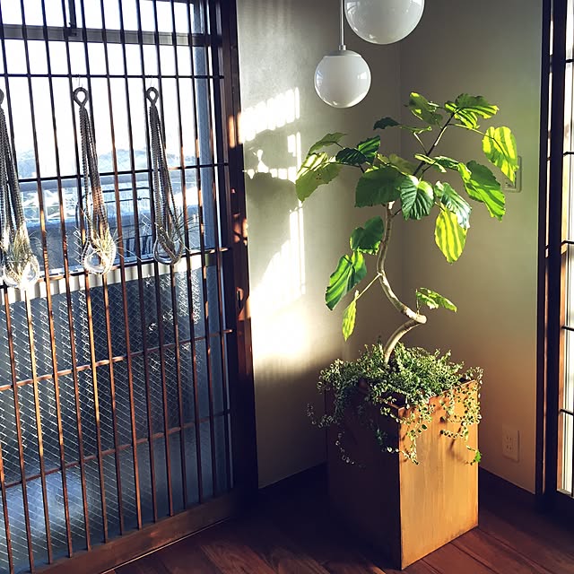 MSAさんの実例写真