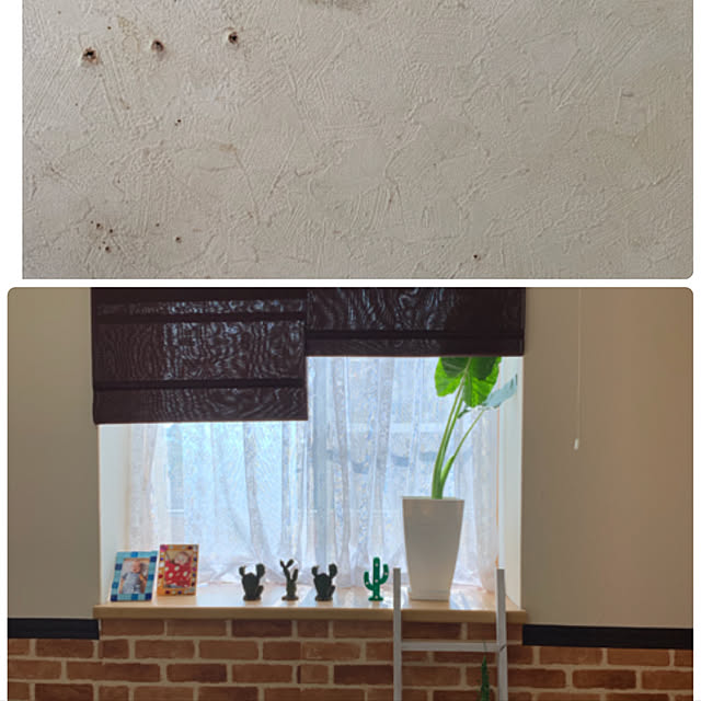 Fumiさんの実例写真