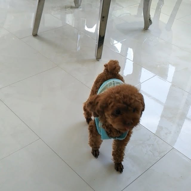 pankoさんの実例写真
