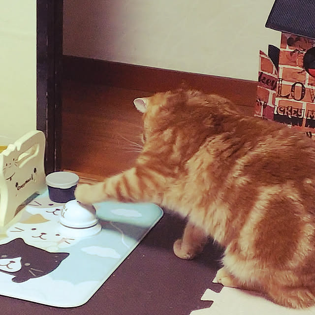 maicoさんの実例写真