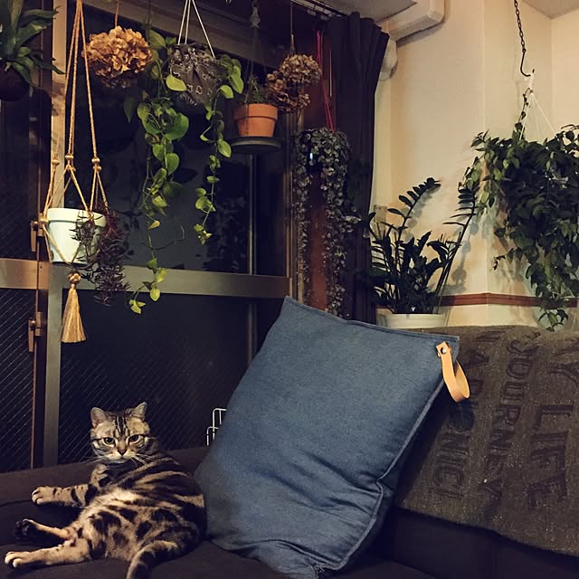 mizukiiiさんの実例写真
