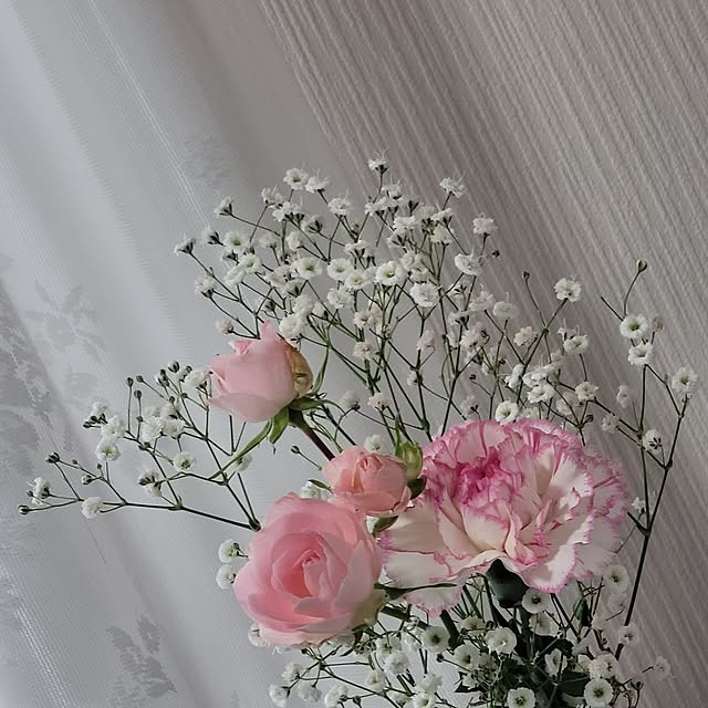 VIORAさんの実例写真